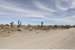 Photo Textures of Background California